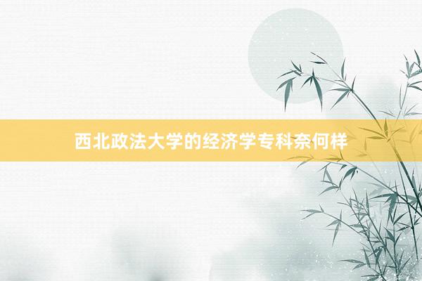 西北政法大学的经济学专科奈何样